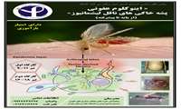 کارگاه اینوکولوم عفونی پشه خاکی های ناقل لیشمانیوز: از پایه تا پیشرفته